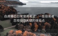 白虎嫩白日常使用笔记：一些容易被忽视但很关键的体验点
