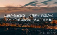 从用户角度聊聊白虎图片：日常高频使用下的真实反馈，播放白虎图案