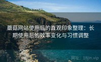 蘑菇网站使用后的直观印象整理：长期使用后的效率变化与习惯调整