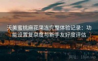 天美蜜桃麻花果冻完整体验记录：功能设置复杂度与新手友好度评估