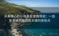 天美糖心的一次真实使用体验：一些容易被忽视但很关键的体验点