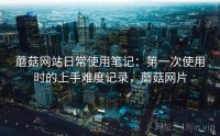 蘑菇网站日常使用笔记：第一次使用时的上手难度记录，蘑菇网片
