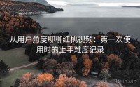 从用户角度聊聊红桃视频：第一次使用时的上手难度记录