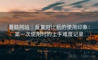蘑菇网站｜反复对比后的使用印象：第一次使用时的上手难度记录