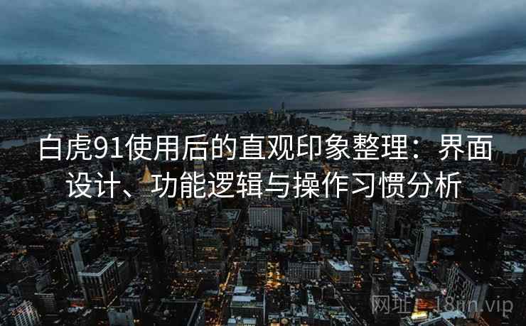 白虎91使用后的直观印象整理：界面设计、功能逻辑与操作习惯分析