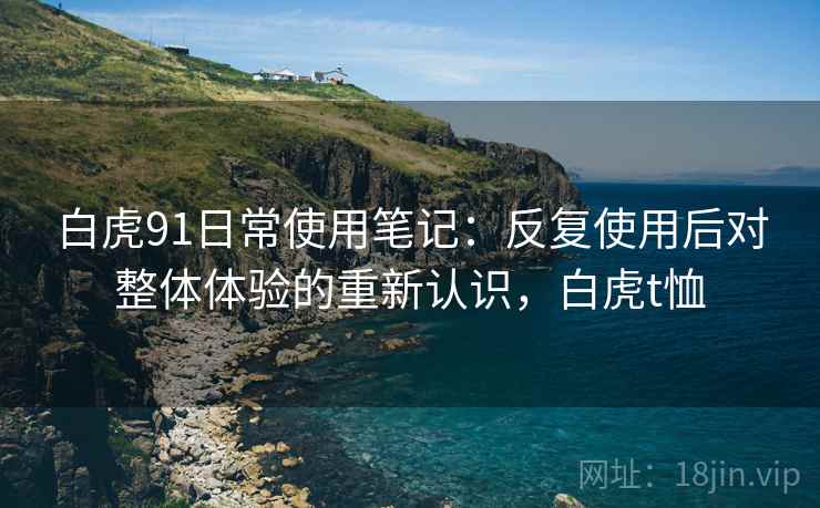 白虎91日常使用笔记：反复使用后对整体体验的重新认识，白虎t恤