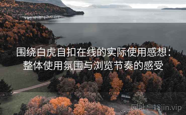 围绕白虎自扣在线的实际使用感想:整体使用氛围与浏览节奏的感受 围绕白虎自扣在线的实际使用感想:整体使用氛围与浏览节奏的感受