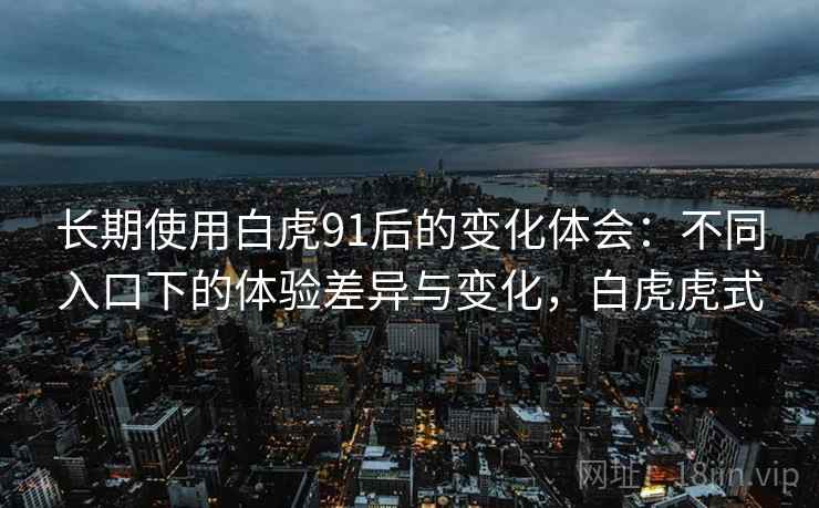 长期使用白虎91后的变化体会：不同入口下的体验差异与变化，白虎虎式