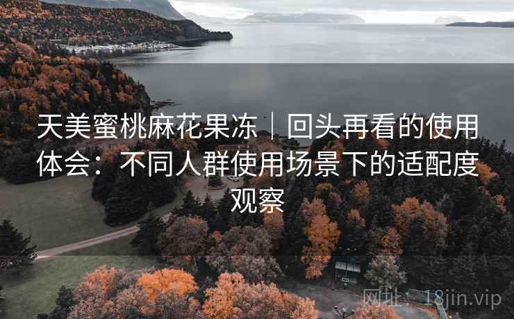 天美蜜桃麻花果冻｜回头再看的使用体会：不同人群使用场景下的适配度观察