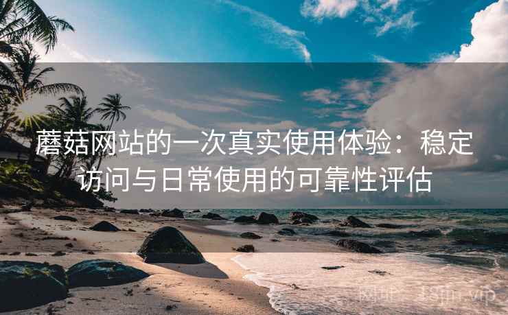 蘑菇网站的一次真实使用体验：稳定访问与日常使用的可靠性评估