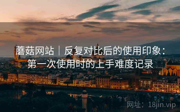 蘑菇网站｜反复对比后的使用印象：第一次使用时的上手难度记录