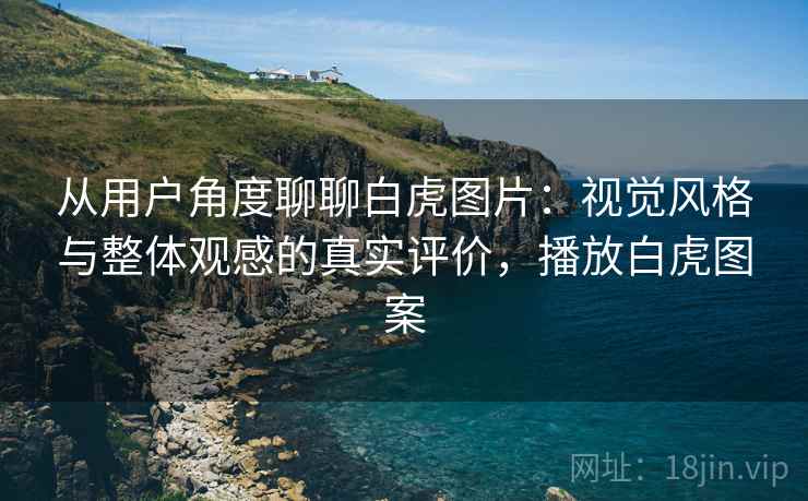 从用户角度聊聊白虎图片：视觉风格与整体观感的真实评价，播放白虎图案