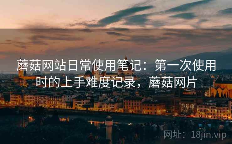 蘑菇网站日常使用笔记：第一次使用时的上手难度记录，蘑菇网片