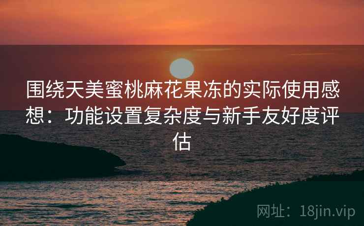 围绕天美蜜桃麻花果冻的实际使用感想：功能设置复杂度与新手友好度评估