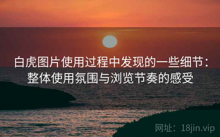 白虎图片使用过程中发现的一些细节：整体使用氛围与浏览节奏的感受
