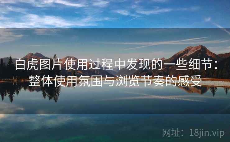 白虎图片使用过程中发现的一些细节：整体使用氛围与浏览节奏的感受