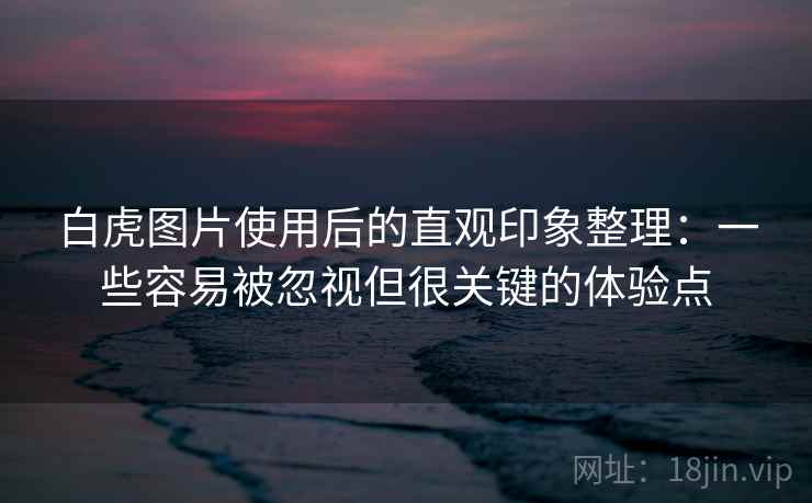 白虎图片使用后的直观印象整理：一些容易被忽视但很关键的体验点