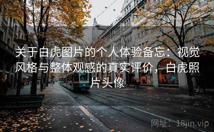 关于白虎图片的个人体验备忘：视觉风格与整体观感的真实评价，白虎照片头像