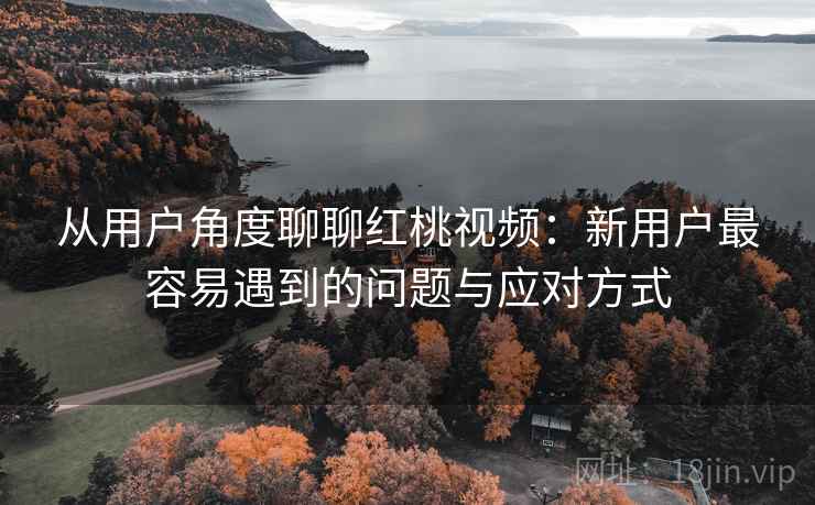 从用户角度聊聊红桃视频：新用户最容易遇到的问题与应对方式