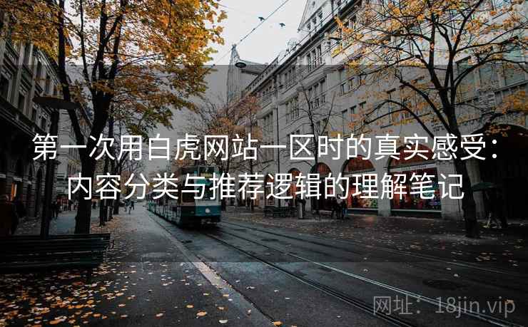 第一次用白虎网站一区时的真实感受：内容分类与推荐逻辑的理解笔记