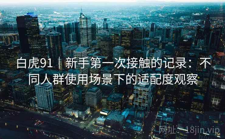 白虎91｜新手第一次接触的记录：不同人群使用场景下的适配度观察