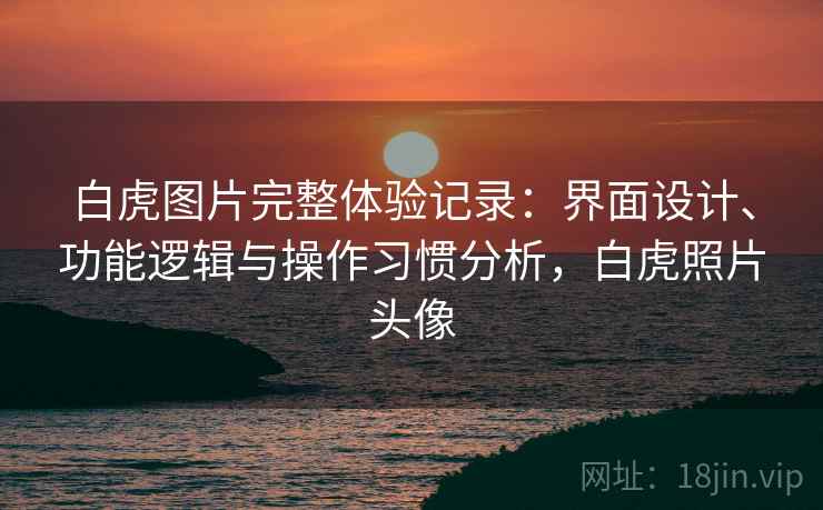 白虎图片完整体验记录：界面设计、功能逻辑与操作习惯分析，白虎照片头像