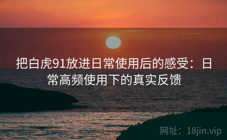 把白虎91放进日常使用后的感受：日常高频使用下的真实反馈